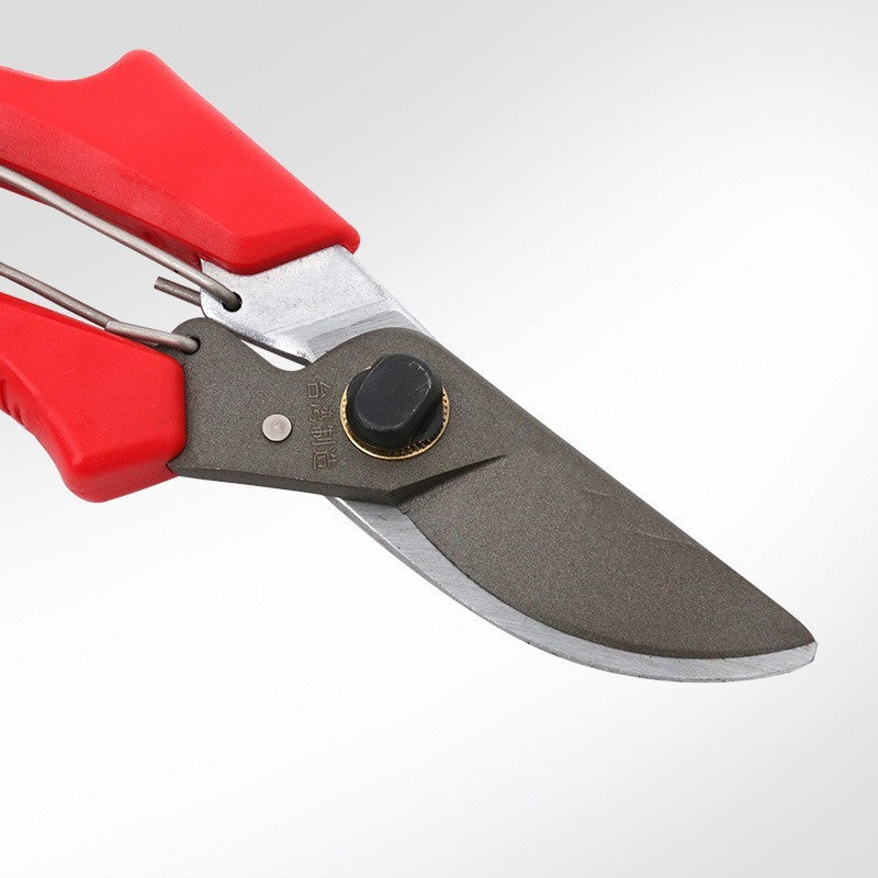 Twenve Garden Tools Pruning Scissors – SK5 Steel Fruit Tree & Bonsai Gardening Shears